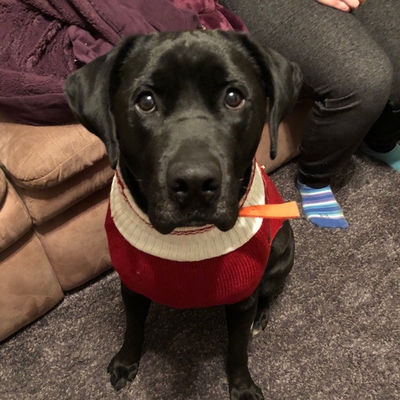 Meet your Posher, Chris - Picture 1 of 1